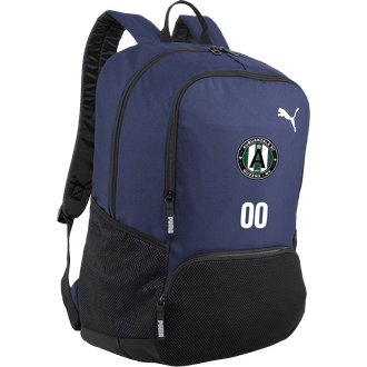 Auburndale SC Backpack